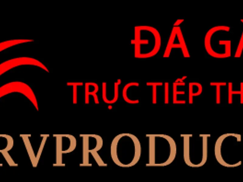 Hình ảnh một trọng tài đang kiểm tra tình trạng sức khỏe của gà chọi giữa các vòng đấu, với bảng điểm điện tử hiển thị thời gian còn lại, nhấn mạnh sự công bằng và quy định trên alo789.