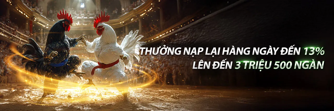 Đá gà trực tiếp Alo789 – Trải nghiệm cá cược đỉnh cao
