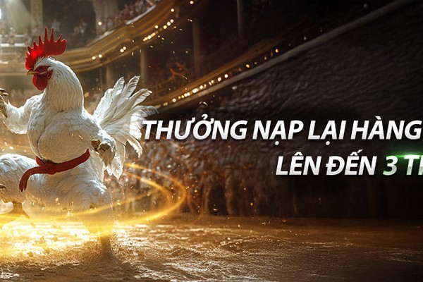 Hệ thống phát trực tiếp nâng cấp đá gà trực tiếp alo789