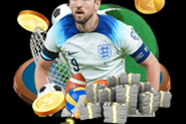 Rủi ro tài chính trong cá cược đá gà