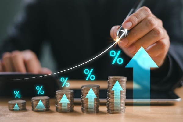 Sân đấu đá gà trực tiếp Alo789 với các chiến kê đang thi đấu
